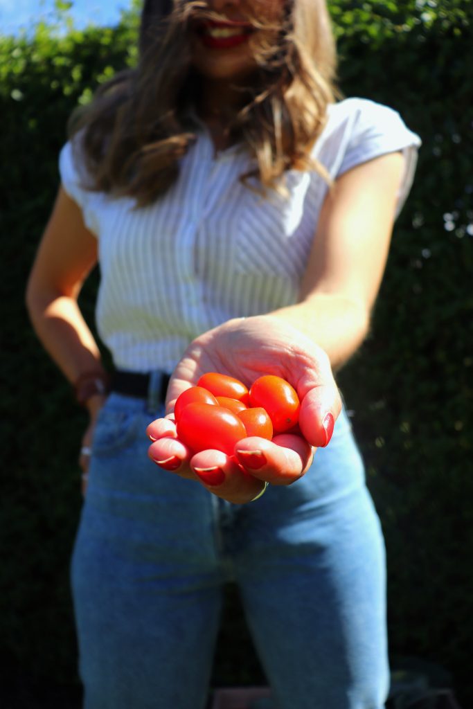 homegrown tomatoes