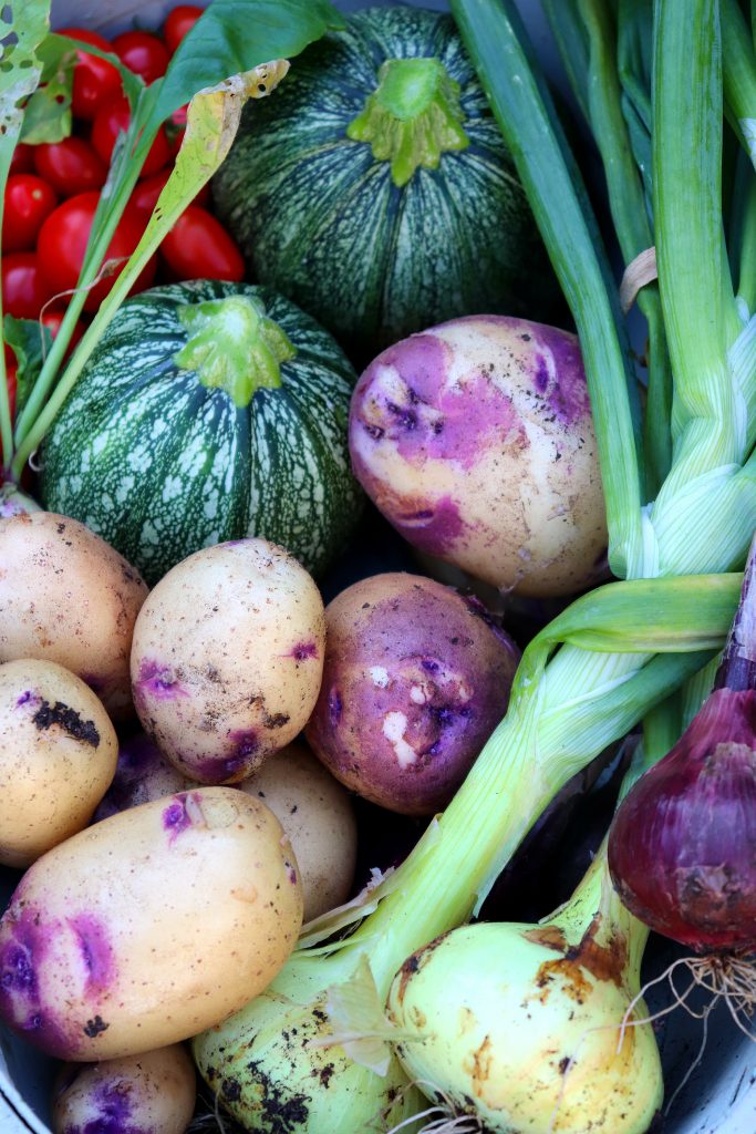 homegrown veggies