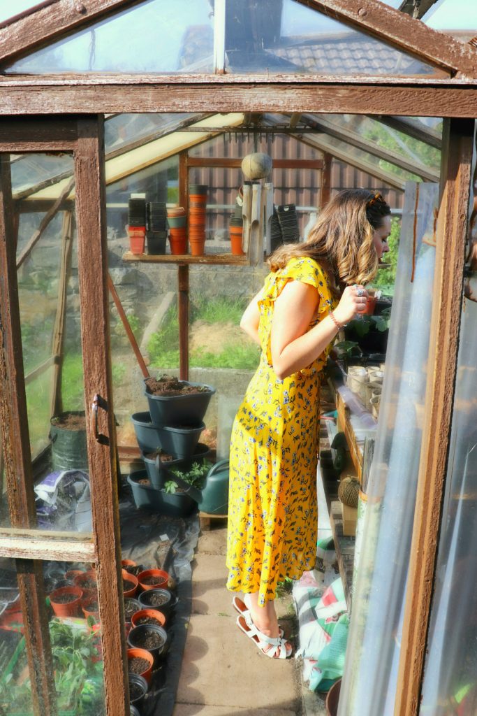 kitchen garden